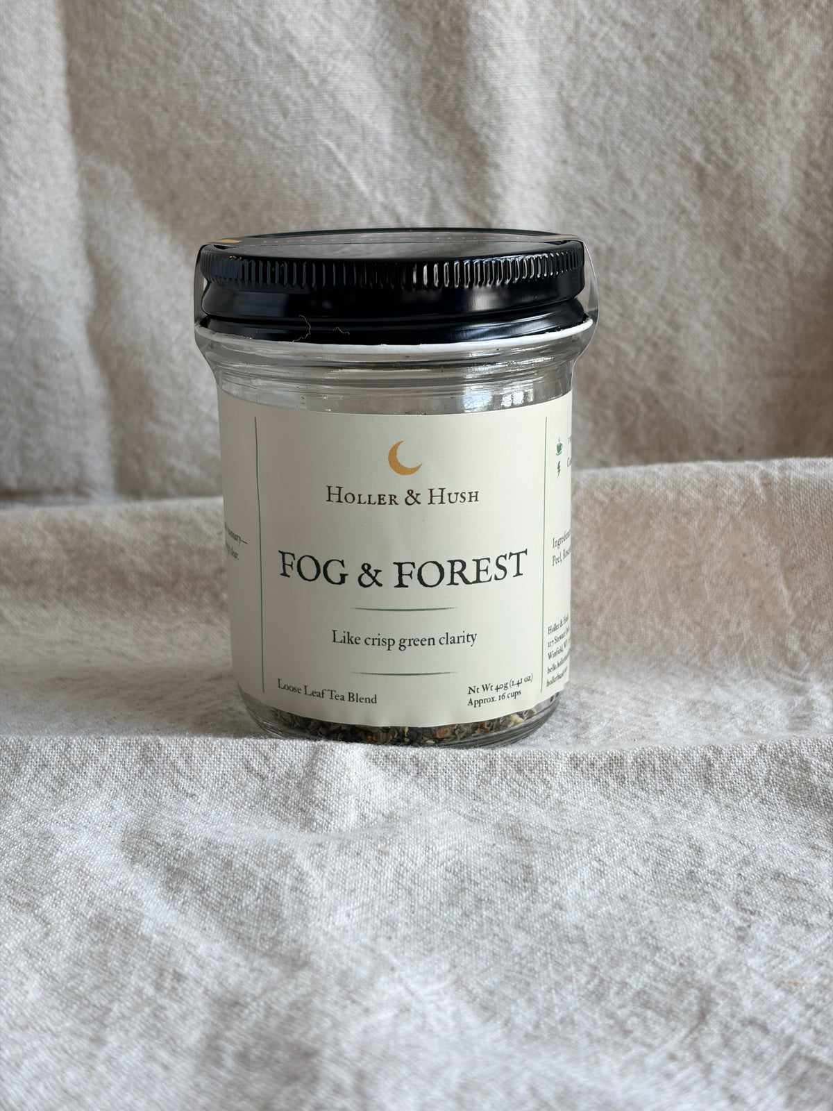 Fog & Forest